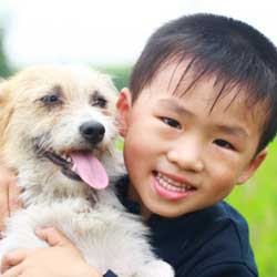 Sécurité avec les chiens | A child and his dog