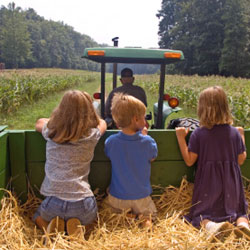 enfants regardant un champ | children looking at a field