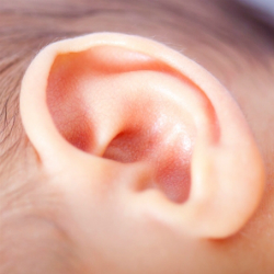 Ear Trauma Emergencies