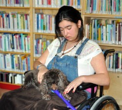 The Montreal Children’s Hospital’s Child Life Pet Therapy program is celebrating its 10th anniversary this year!