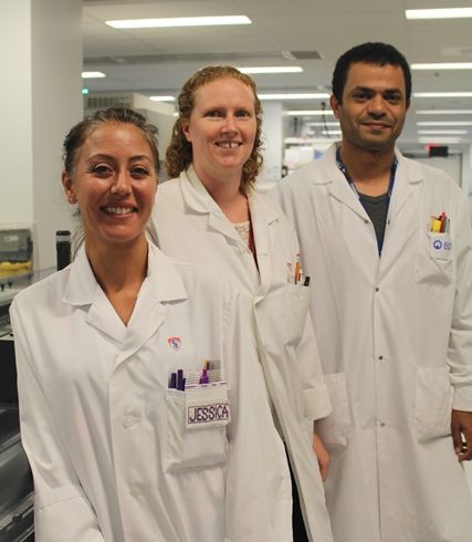 A day in the life of three medical technologists in the MUHC Central Lab