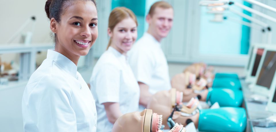 Dentistry  Academic Programs