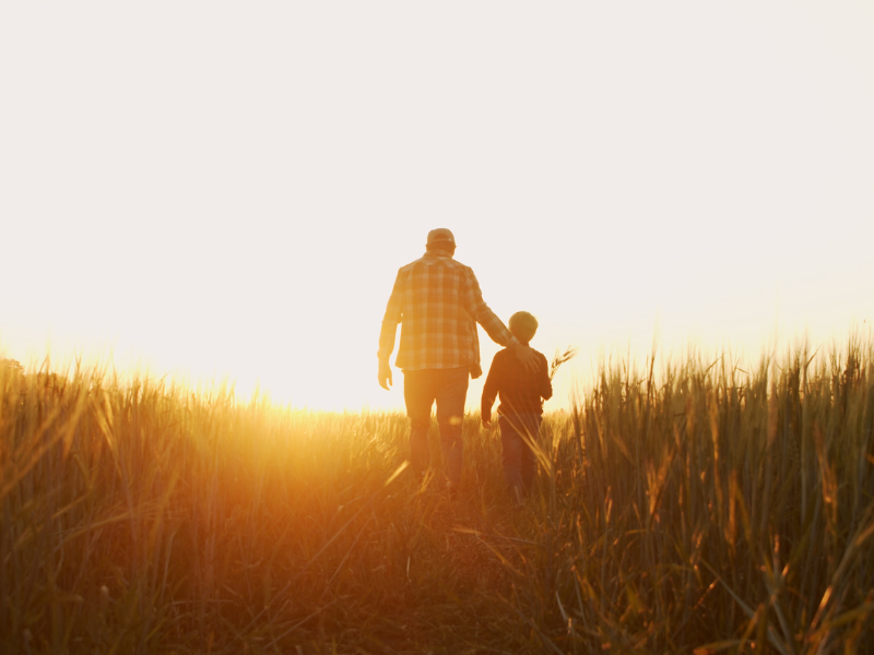 Harvest season brings hidden dangers