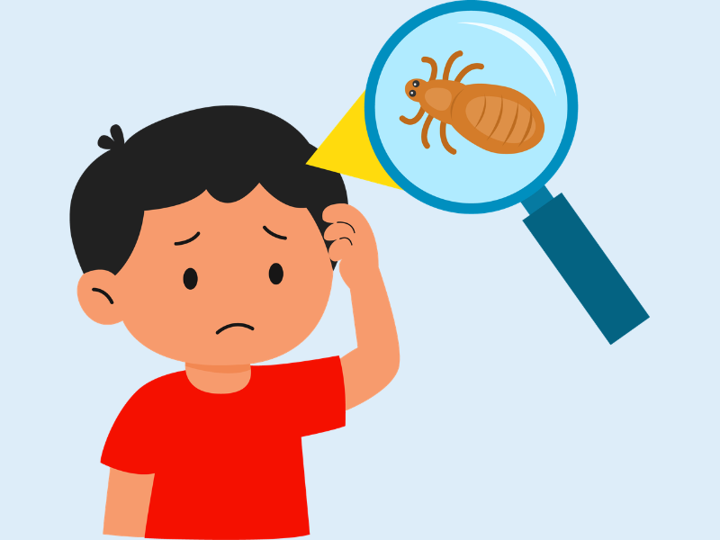 Lice… Lice… Lice… All there is to know about head lice